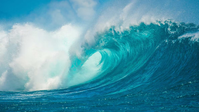 🌊 From Ocean to Capsule: The Hidden Journey of Your Omega-3